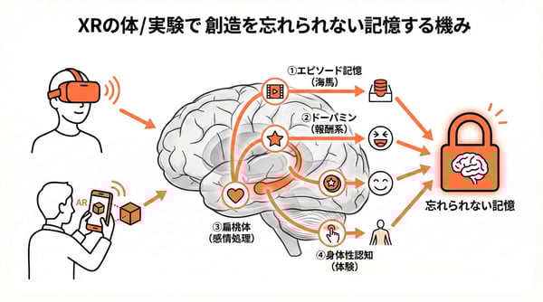 XR体験が脳に刻まれるメカニズムの概念図